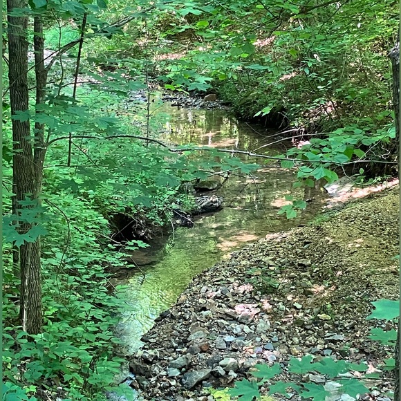 Meet your Posher, Cynthia - Picture 9 of 10